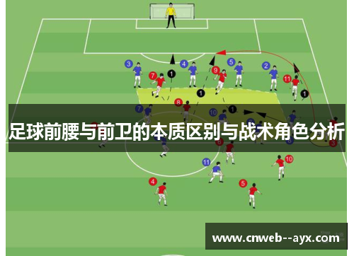 足球前腰与前卫的本质区别与战术角色分析 足球前腰与前卫的本质区别与战术角色分析